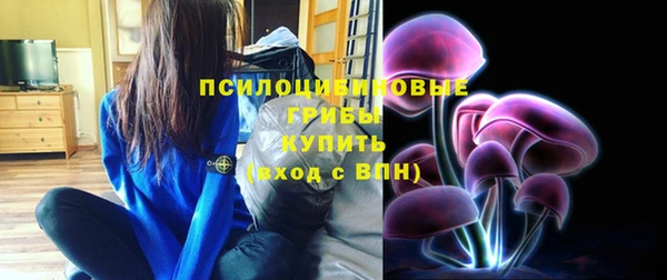 хмурый Заводоуковск