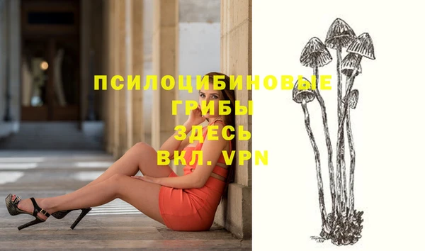 хмурый Заводоуковск