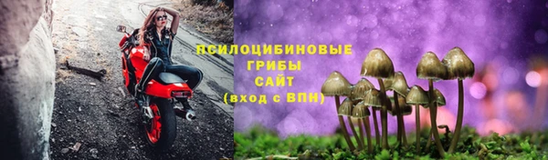 хмурый Заводоуковск