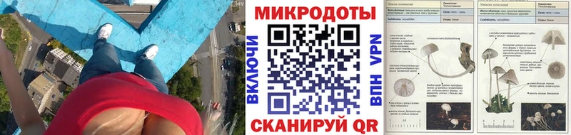 Галлюциногенные грибы прущие грибы  сколько стоит  Нарткала 